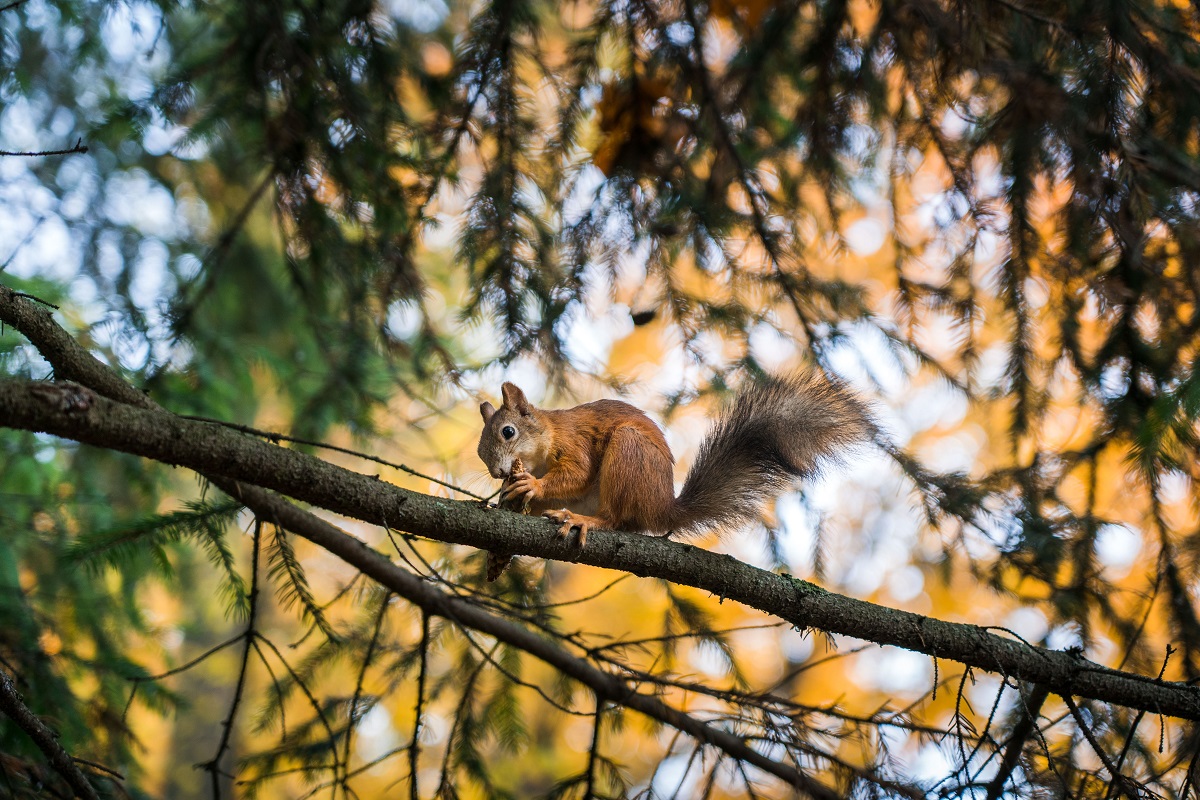 Фото: Александр Плонский / "Агроэксперт"