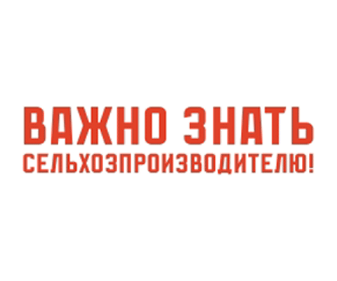 Мониторинг зерна -2025(десктоп)
