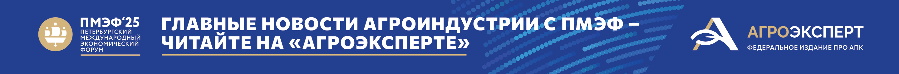 ПМЭФ